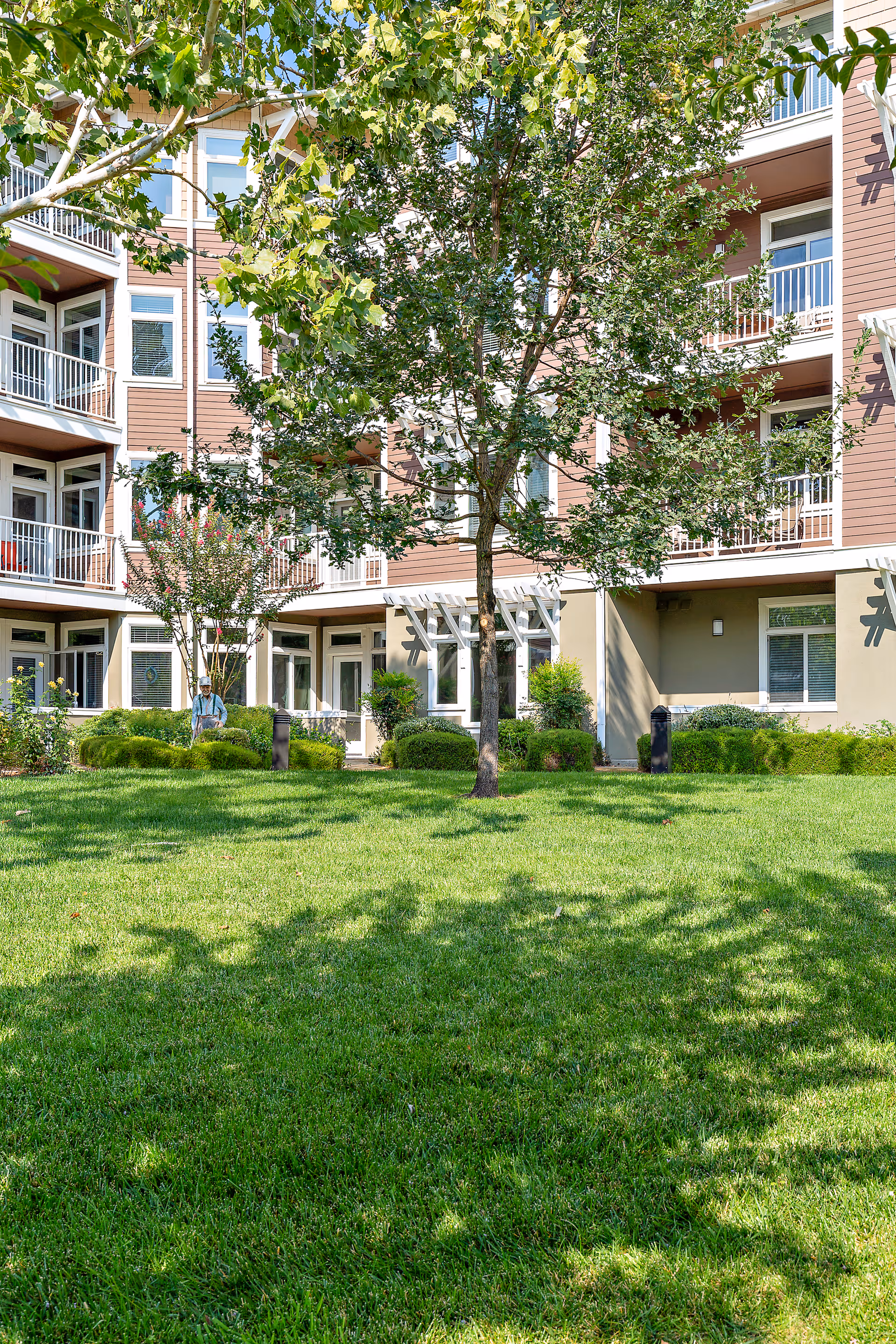 A well-maintained grassy courtyard area with trees and shrubs in front of a multi-story residential building with balconies and large windows.