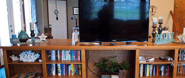 Flat-screen TV atop a wooden bookshelf/console filled with books, decorative items and a plant, with the entry door and living room visible behind.