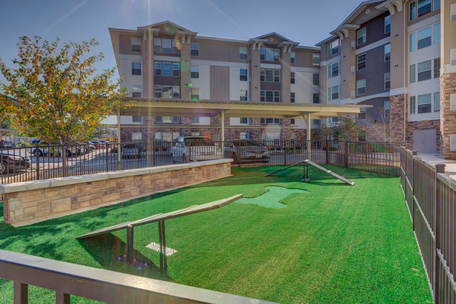 Fenced artificial turf courtyard with dog agility ramps and a covered parking area in front of a multi-story senior living building.