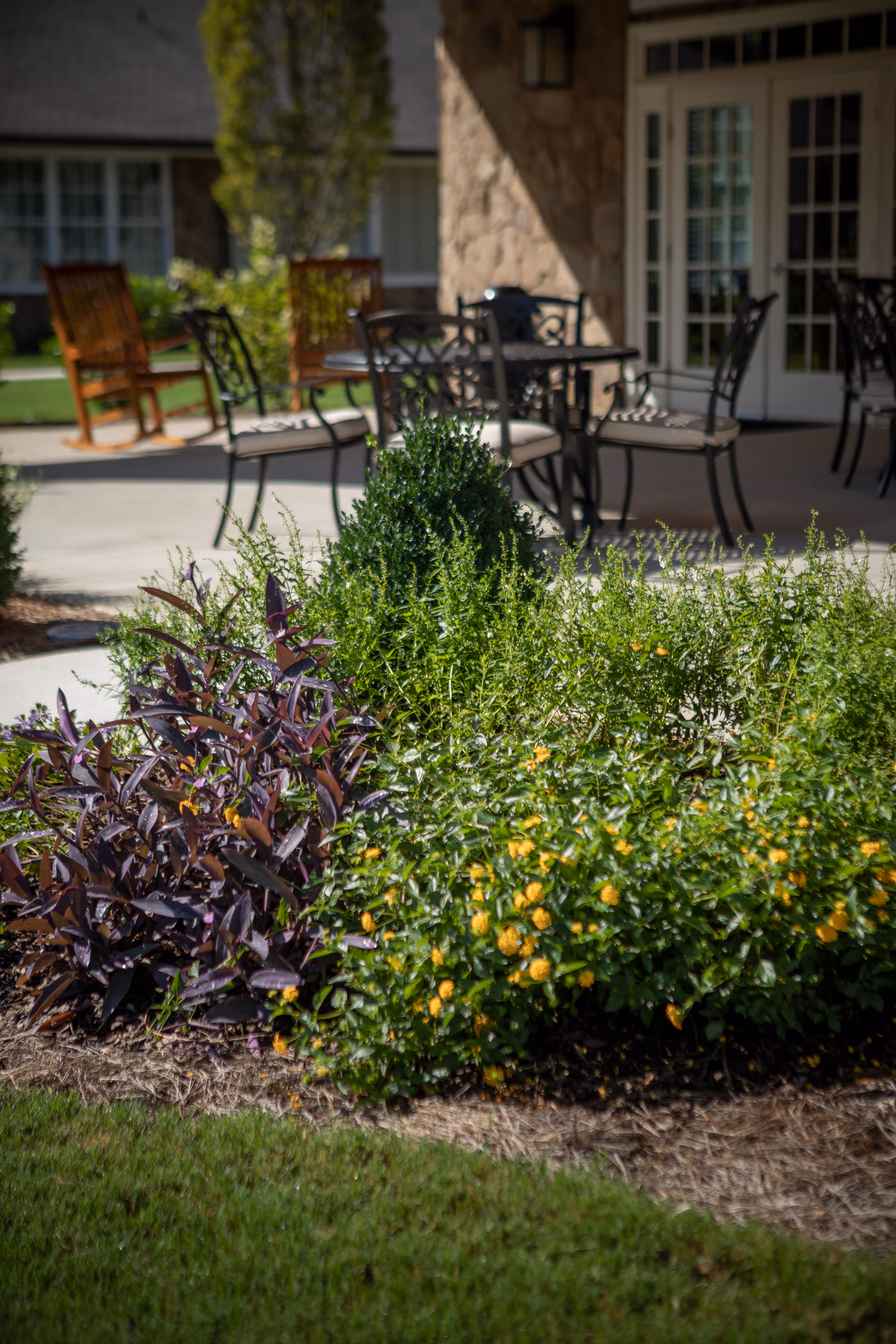 Outdoor patio area with metal tables and chairs, surrounded by green bushes and flowering plants. In the background, there are wooden rocking chairs and a building with large windows and a stone wall.