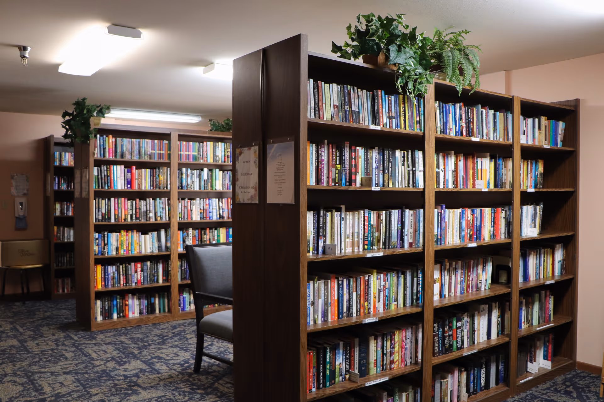 Interior view of a library or reading room with multiple wooden bookshelves filled with books. There are some green plants on top of the shelves and a gray chair is partially visible. The room has carpeted flooring and fluorescent ceiling lights.
