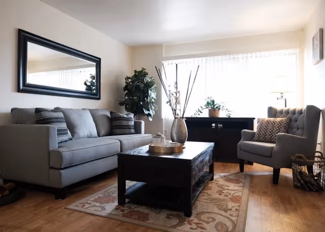 A cozy living room with a gray sofa and matching armchair, a dark wooden coffee table on a patterned rug, a large mirror on the wall, a potted plant, and a window with sheer curtains letting in natural light.