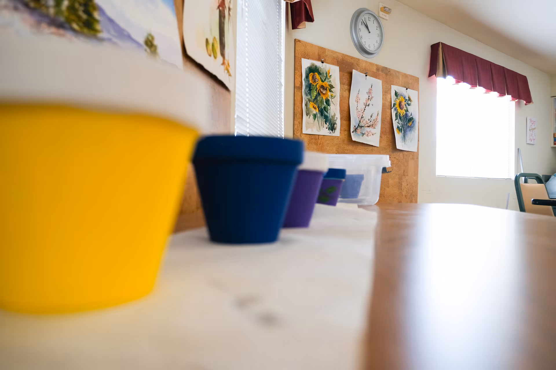 A row of colorful flower pots on a table in a room with a corkboard displaying watercolor paintings of flowers and a clock above it. Sunlight streams through a window with a red valance, and chairs are visible in the background.