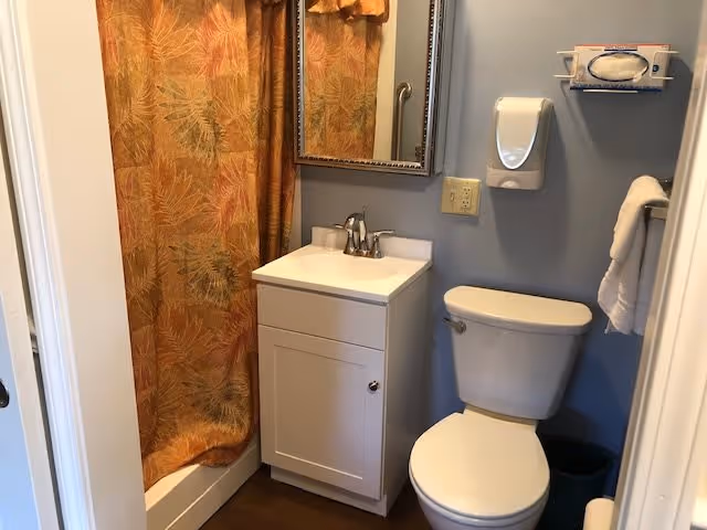 A small bathroom with a white toilet, a white vanity with a sink and faucet, a mirror above the sink, a wall-mounted soap dispenser, a towel rack with a white towel, and a shower with a curtain featuring a leaf pattern in shades of orange and green.