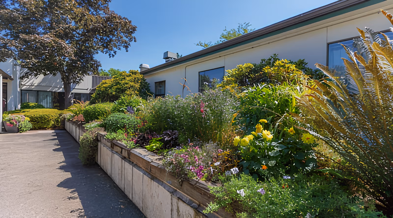 Outdoor garden area at Umpqua Valley Nursing & Rehabilitation Center featuring a variety of colorful flowers and green shrubs along a raised planter bed, with a building and clear blue sky in the background.