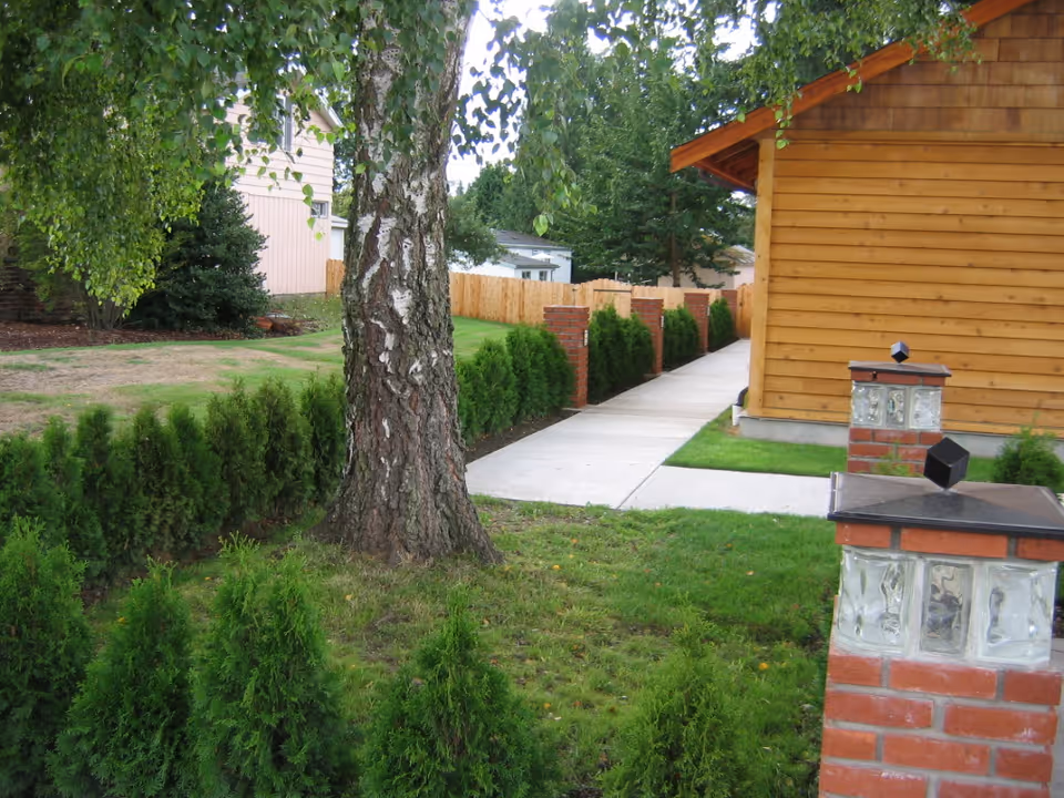 A landscaped outdoor area featuring a large tree with hanging branches, a row of small evergreen shrubs, a concrete walkway bordered by brick and glass block pillars, and a wooden building on the right side.