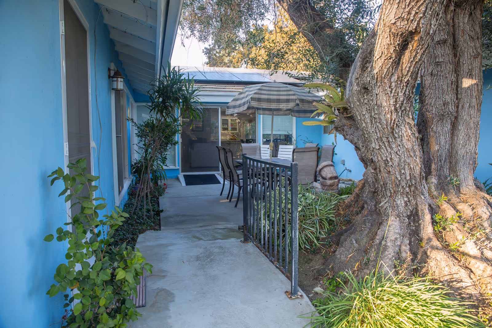 Outdoor patio area at a senior living facility with a large tree on the right, a concrete walkway with a black metal railing, blue exterior walls, potted plants, and a table with chairs under a striped umbrella near a sliding glass door.