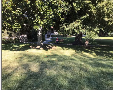 A grassy outdoor area with large trees providing shade. A person is sitting on a bench near a paved pathway, with a building partially visible in the background.