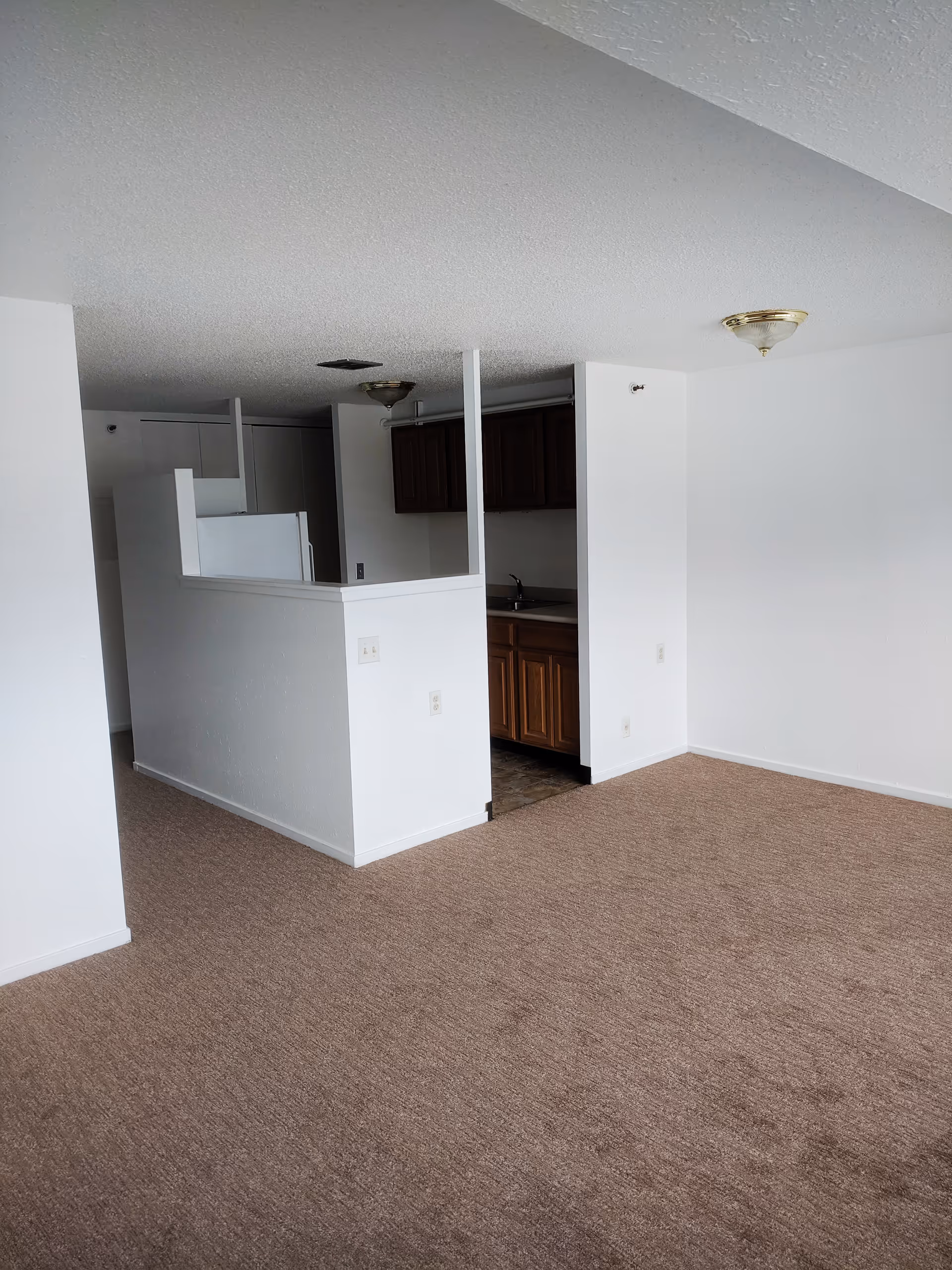 An empty interior room with beige carpet and white walls. There is a small kitchen area with wooden cabinets and a sink partially enclosed by a half wall. The ceiling has two light fixtures with brass accents.