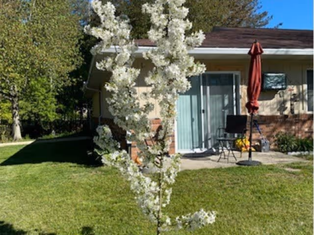 A small tree with white blossoms in front of a single-story building with a sliding glass door. There is a patio area with a table, two chairs, and a closed red umbrella. The surrounding area has green grass and other trees in the background under a clear blue sky.