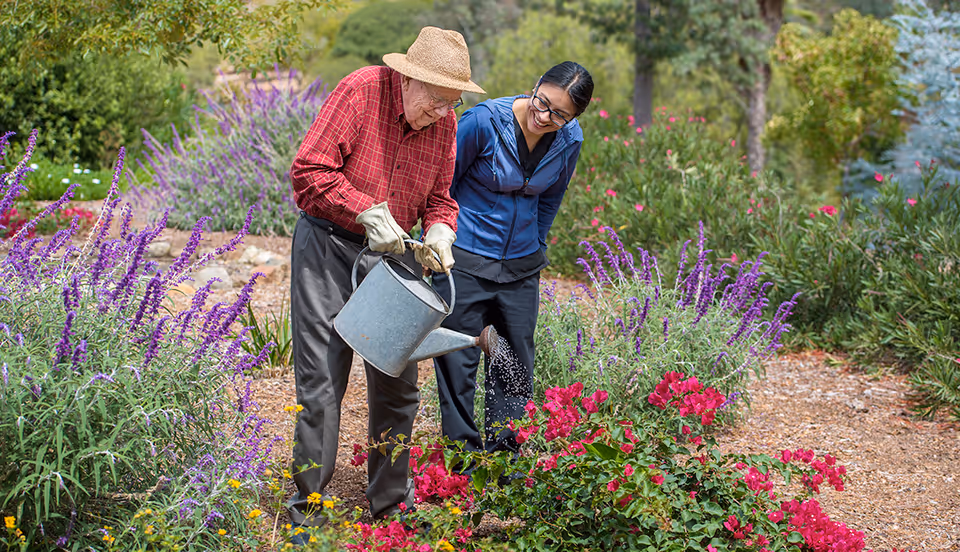 An elderly man wearing a straw hat and red plaid shirt waters red flowers in a garden using a metal watering can, while a woman in a blue jacket stands beside him smiling. The garden is filled with various colorful flowers and greenery.