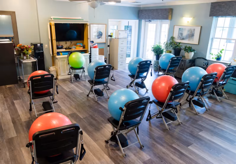 A bright exercise room with wooden flooring featuring multiple black folding chairs, each paired with a large exercise ball in red, blue, or green. The room has light blue walls, large windows with gray valances, several potted plants, a TV mounted inside a wooden cabinet, and a filing cabinet near the back door.