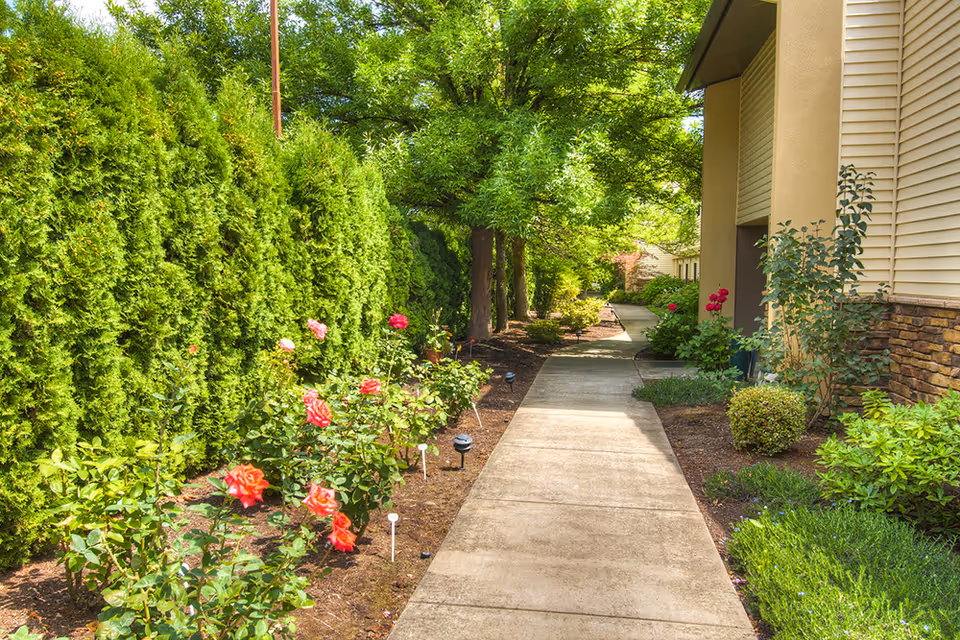 A sunny outdoor walkway lined with green bushes and blooming red roses on one side and a building with beige siding and stone accents on the other side. Tall green trees provide shade along the path.