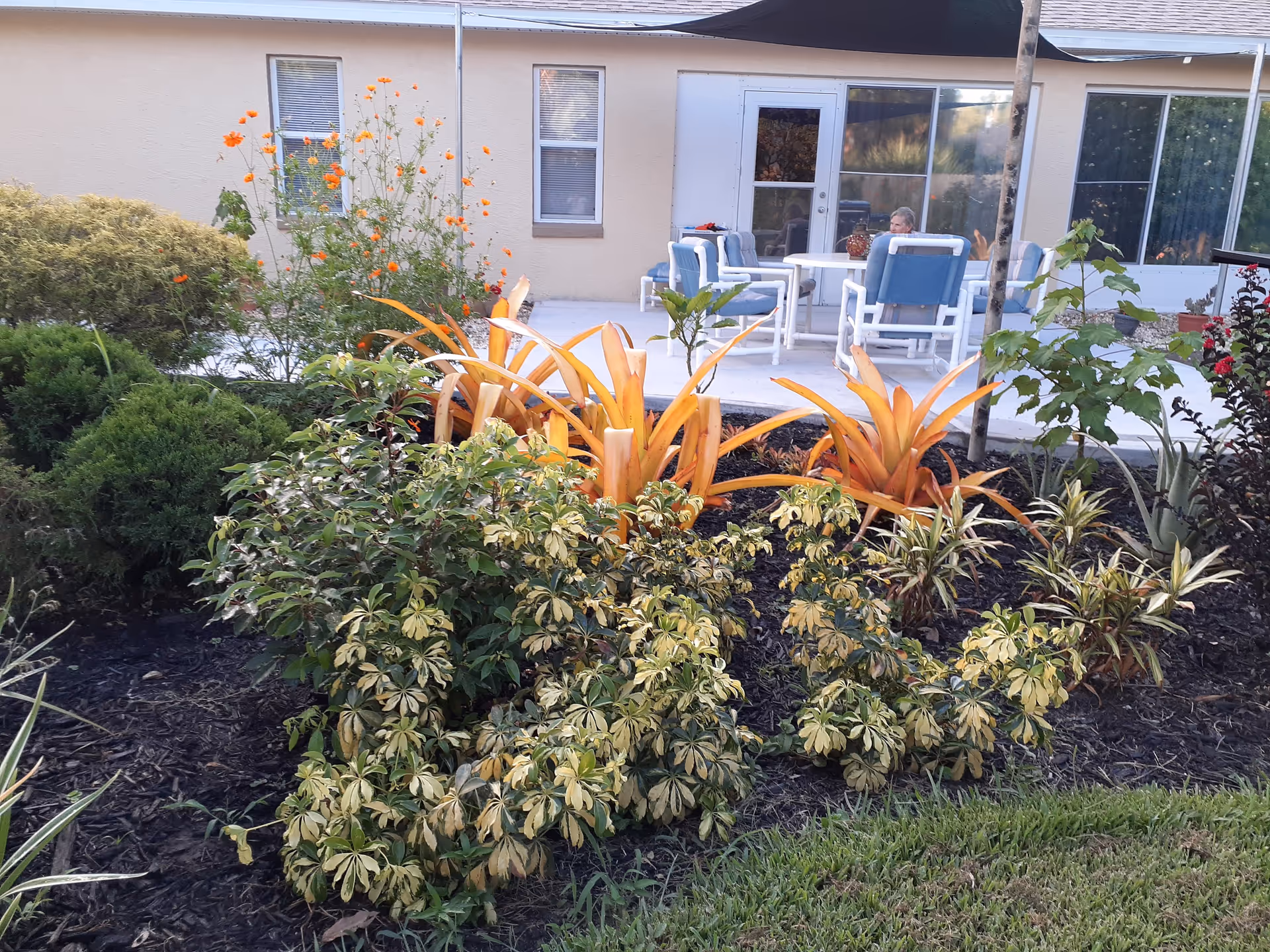 Outdoor garden area with various green and orange plants in the foreground. In the background, there is a patio with white and blue cushioned chairs around a round table. A person is sitting on one of the chairs near a beige building with windows and a door.