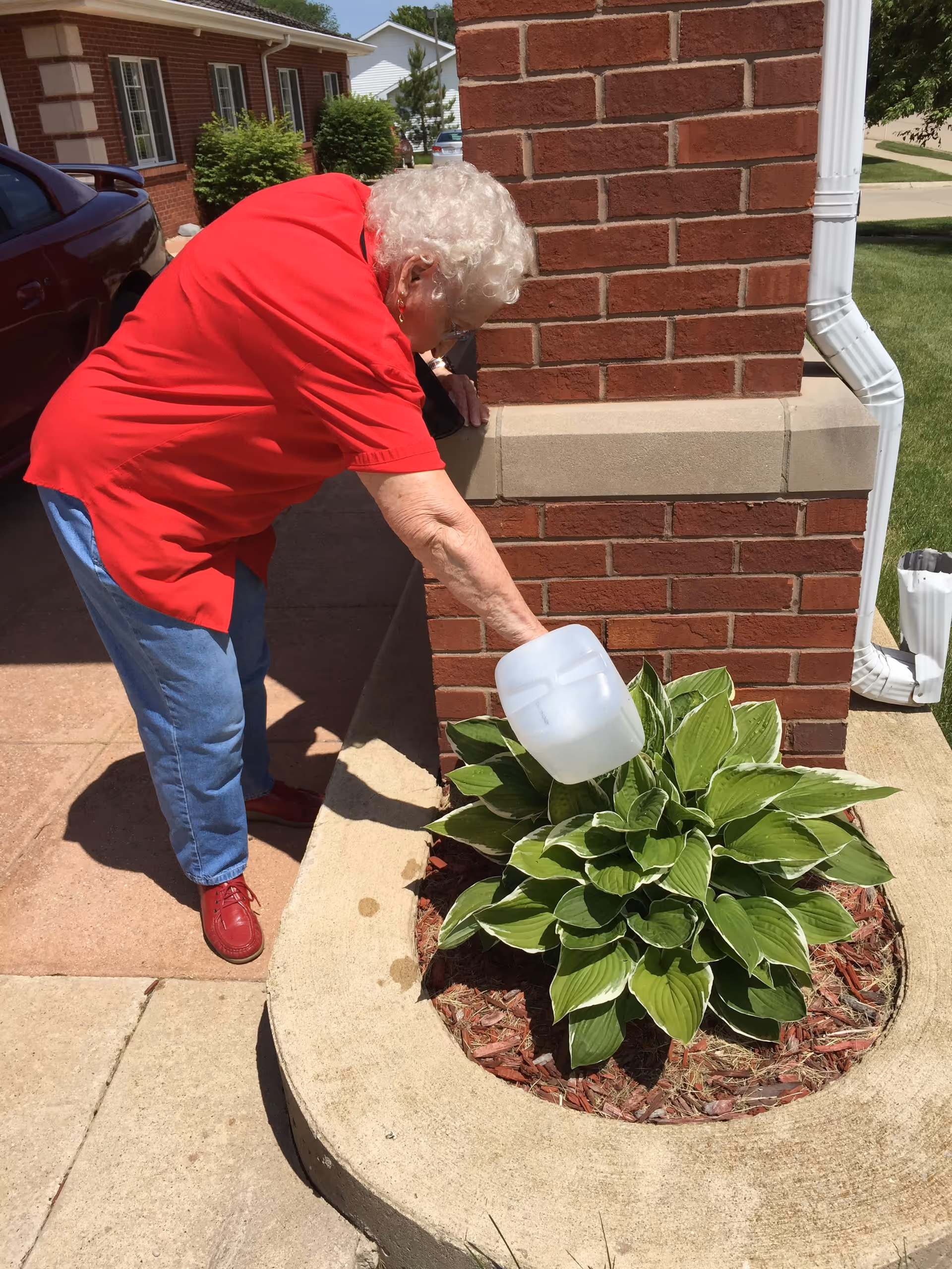 An elderly woman with white curly hair wearing a red shirt, blue jeans, and red shoes is watering a green leafy plant in a circular concrete planter outside a brick building on a sunny day.