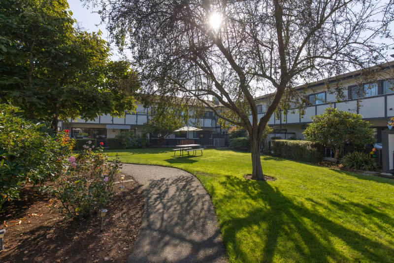 A sunny outdoor courtyard area at a senior living facility with a paved walking path, green grass, trees, bushes, and a picnic table with an umbrella. The building surrounds the courtyard with windows overlooking the garden.