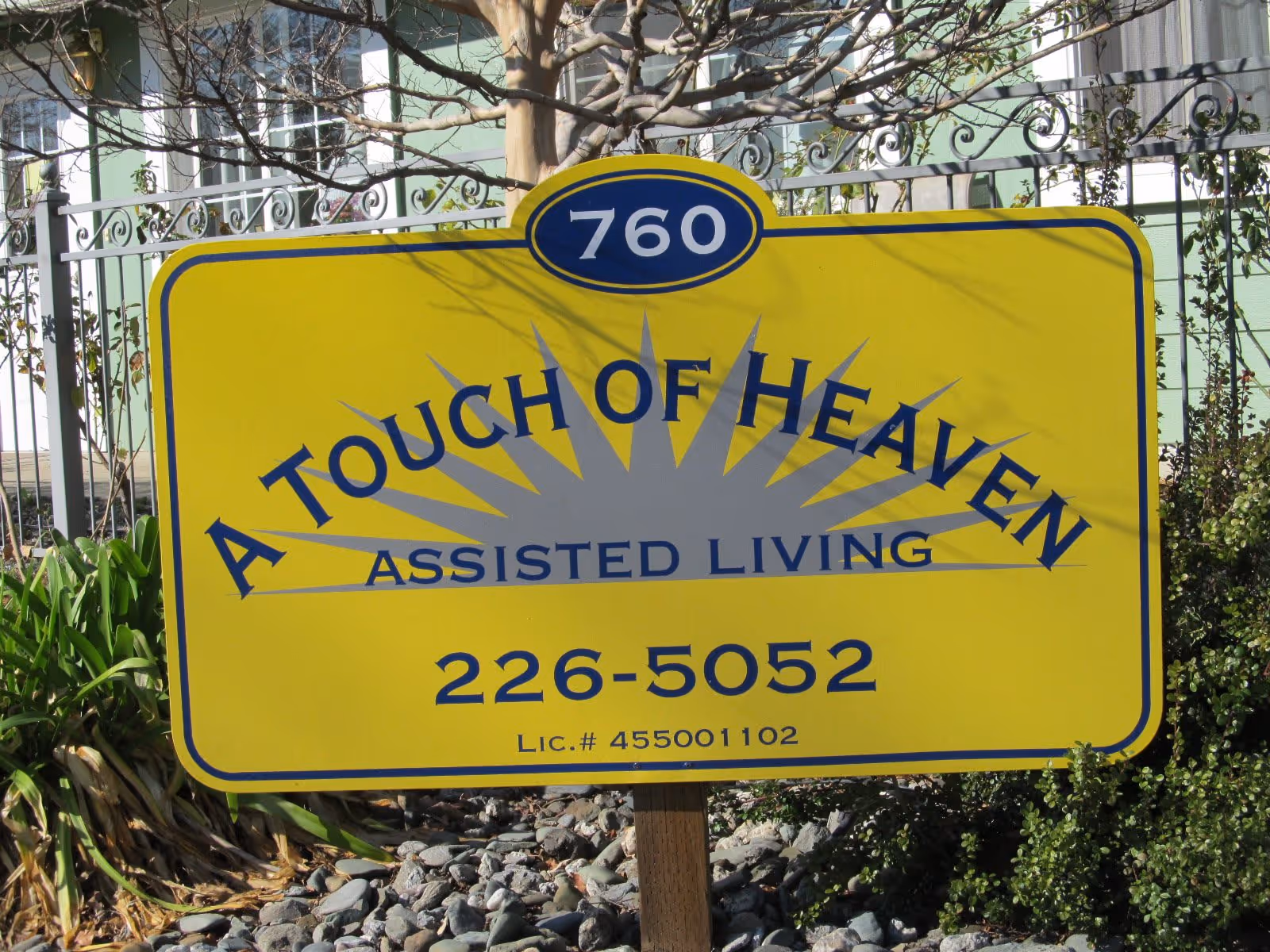 A yellow sign with blue text reading '760 A Touch Of Heaven Assisted Living 226-5052 Lic.# 455001102' placed outdoors with plants and a fence in the background.