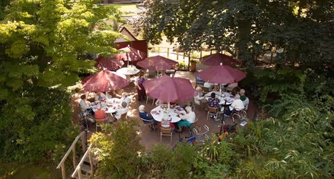 A group of elderly people sitting at round tables with purple umbrellas in an outdoor garden setting surrounded by trees and greenery, enjoying a social gathering.