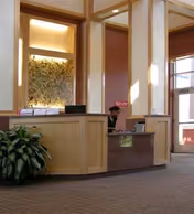 Reception area with a wooden front desk, a person sitting behind the desk, a large plant to the left, and a decorative wall feature with lighting behind the desk. Large windows allow natural light into the space.