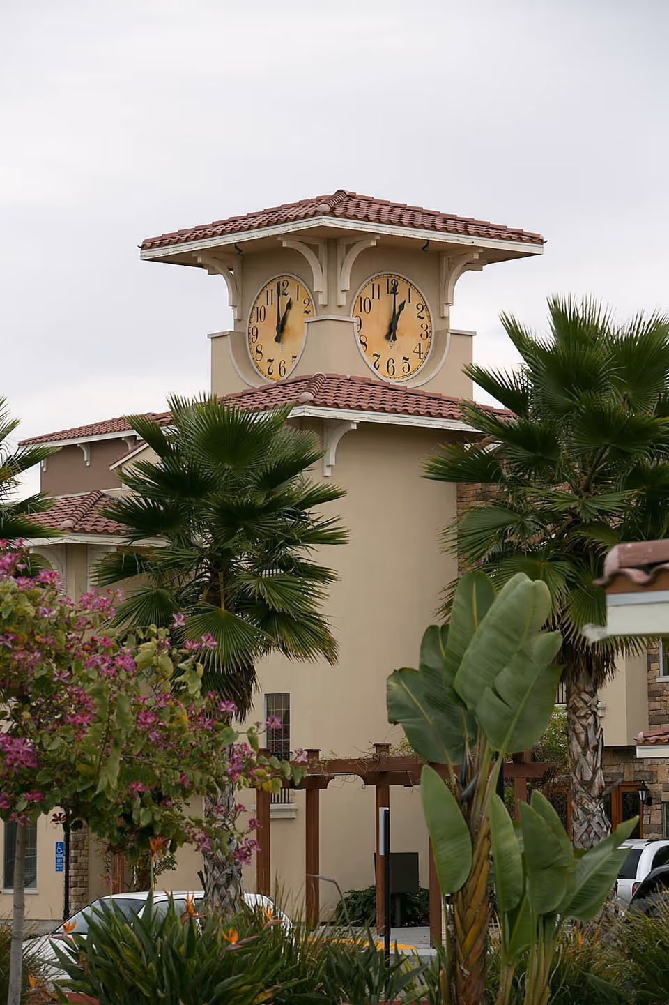 Photo of Paradise Village