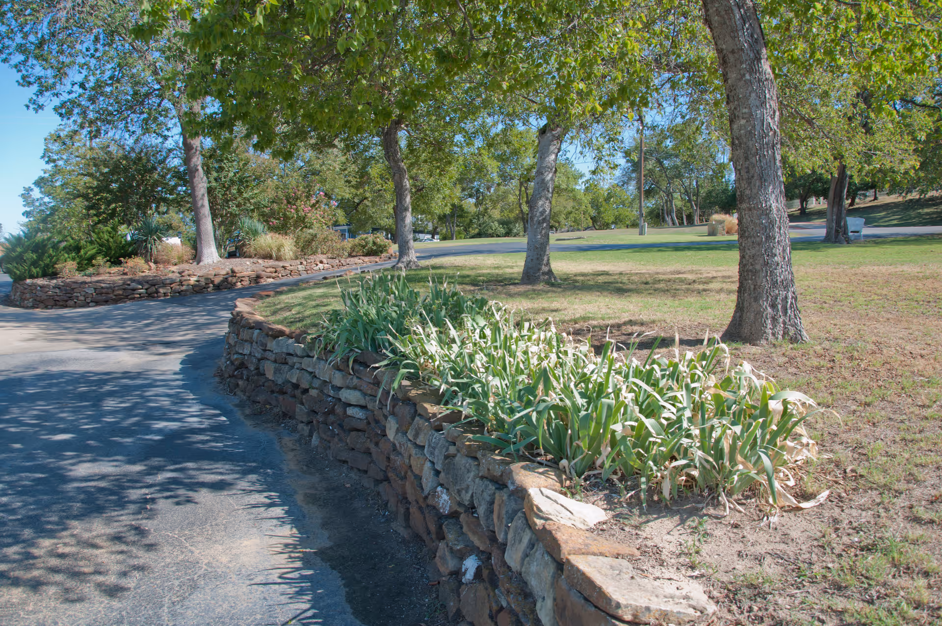 A curved paved pathway bordered by a low stone wall with green plants growing on top. Several trees provide shade along the path, and a grassy area extends beyond the wall under a clear blue sky.