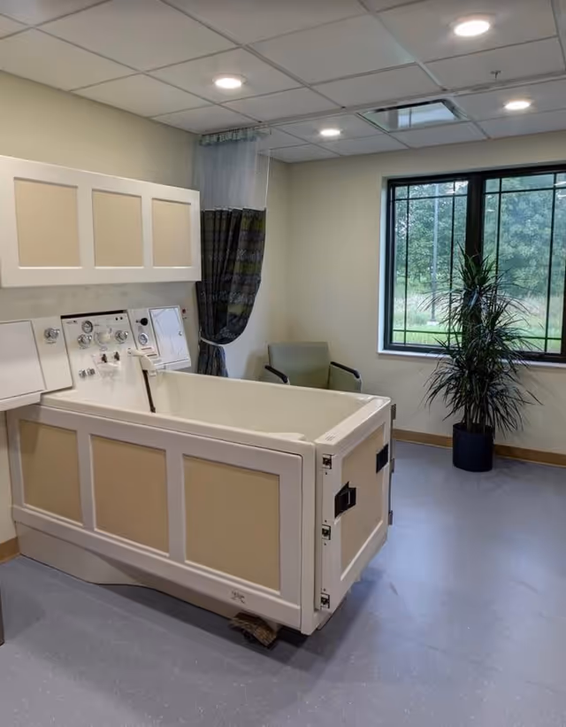 A spacious bathing room in a senior living facility featuring a large medical-style bathtub with control knobs and a privacy curtain. There is a green armchair in the corner and a tall potted plant near a window that shows greenery outside. The room has a tiled ceiling with recessed lighting and a gray floor.
