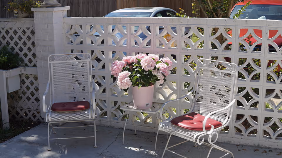 Outdoor patio area with two white metal chairs with red cushions and a small white metal table between them holding a pink pot of blooming pink hydrangea flowers. The background features a decorative white concrete block wall with a wooden fence and parked cars visible behind it.