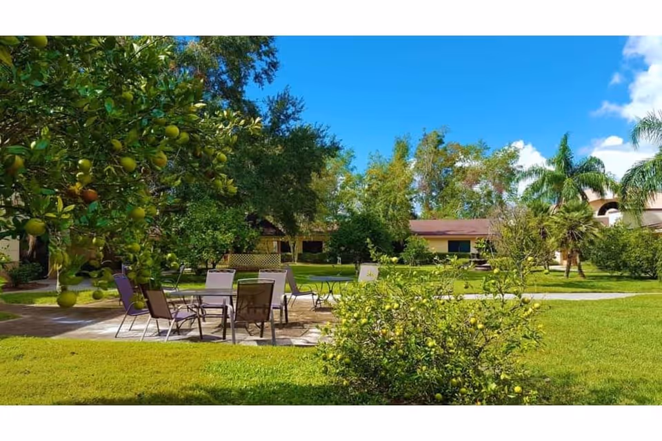 Outdoor seating area with several metal chairs and tables on a paved patio surrounded by green grass, fruit trees, and other lush vegetation under a bright blue sky with some clouds.