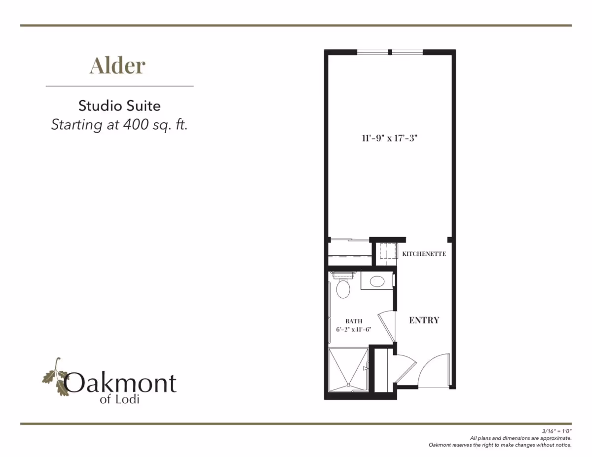 Floor plan of the Alder Studio Suite at Oakmont of Lodi, starting at 400 square feet. The layout includes an entry area, kitchenette, bathroom measuring 6 feet 2 inches by 11 feet 6 inches, and a main living space measuring 11 feet 9 inches by 17 feet 3 inches.
