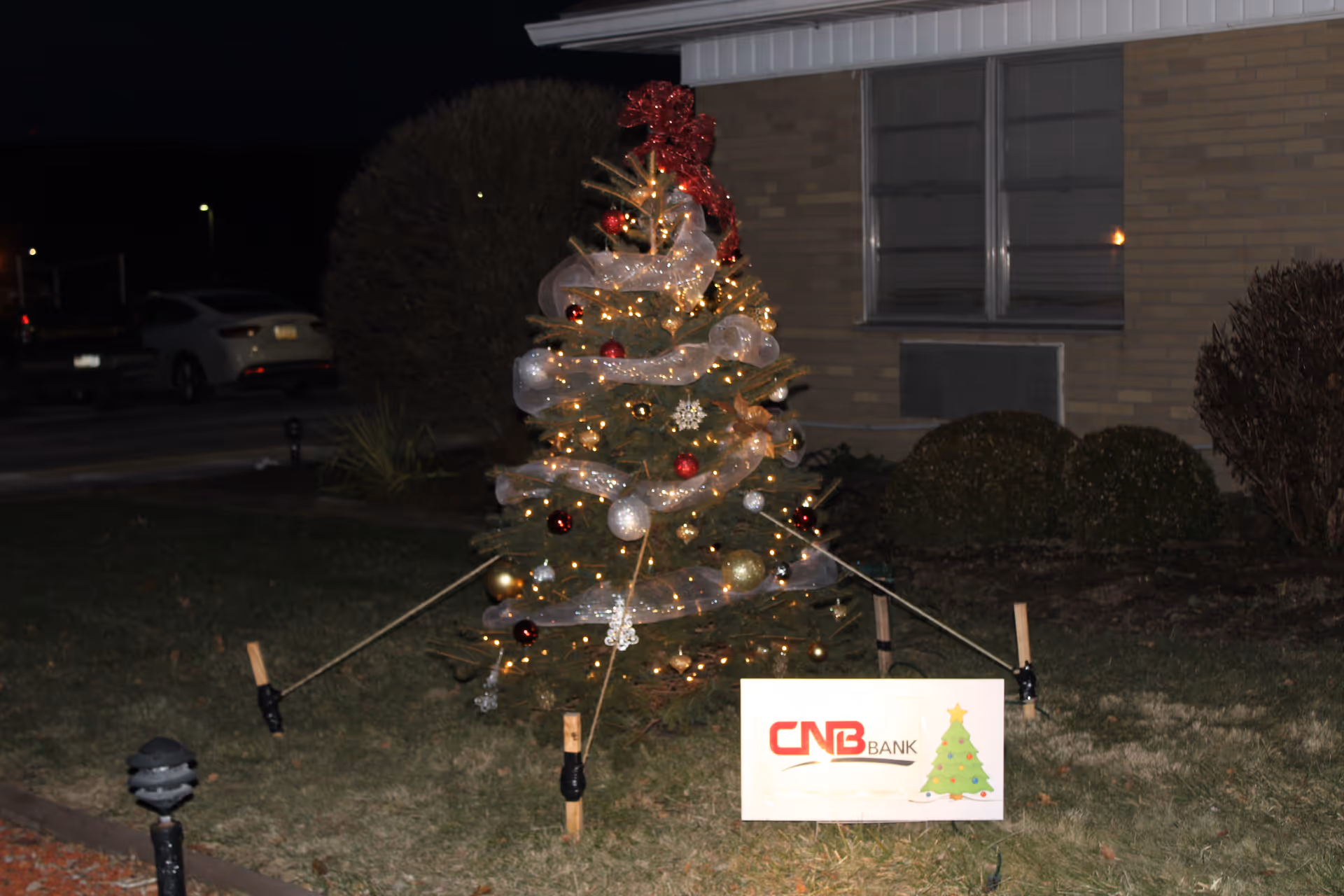 A small decorated Christmas tree outdoors at night, adorned with lights, red and gold ornaments, and white ribbon. The tree is supported by stakes and ropes. In front of the tree is a sign with the CNB Bank logo and a Christmas tree graphic. The background shows a building with windows and bushes.
