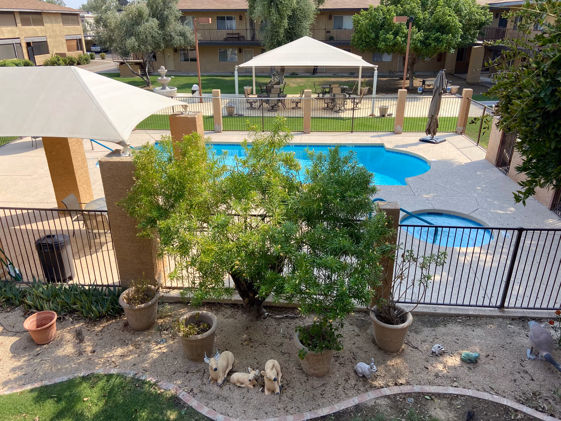 Outdoor area of Desert Marigold Senior Living of Tempe featuring a fenced swimming pool and hot tub, with a shaded seating area under a white canopy. In the foreground, there are several potted plants and small animal statues placed on the ground near a small tree. Apartment buildings and green lawns are visible in the background.