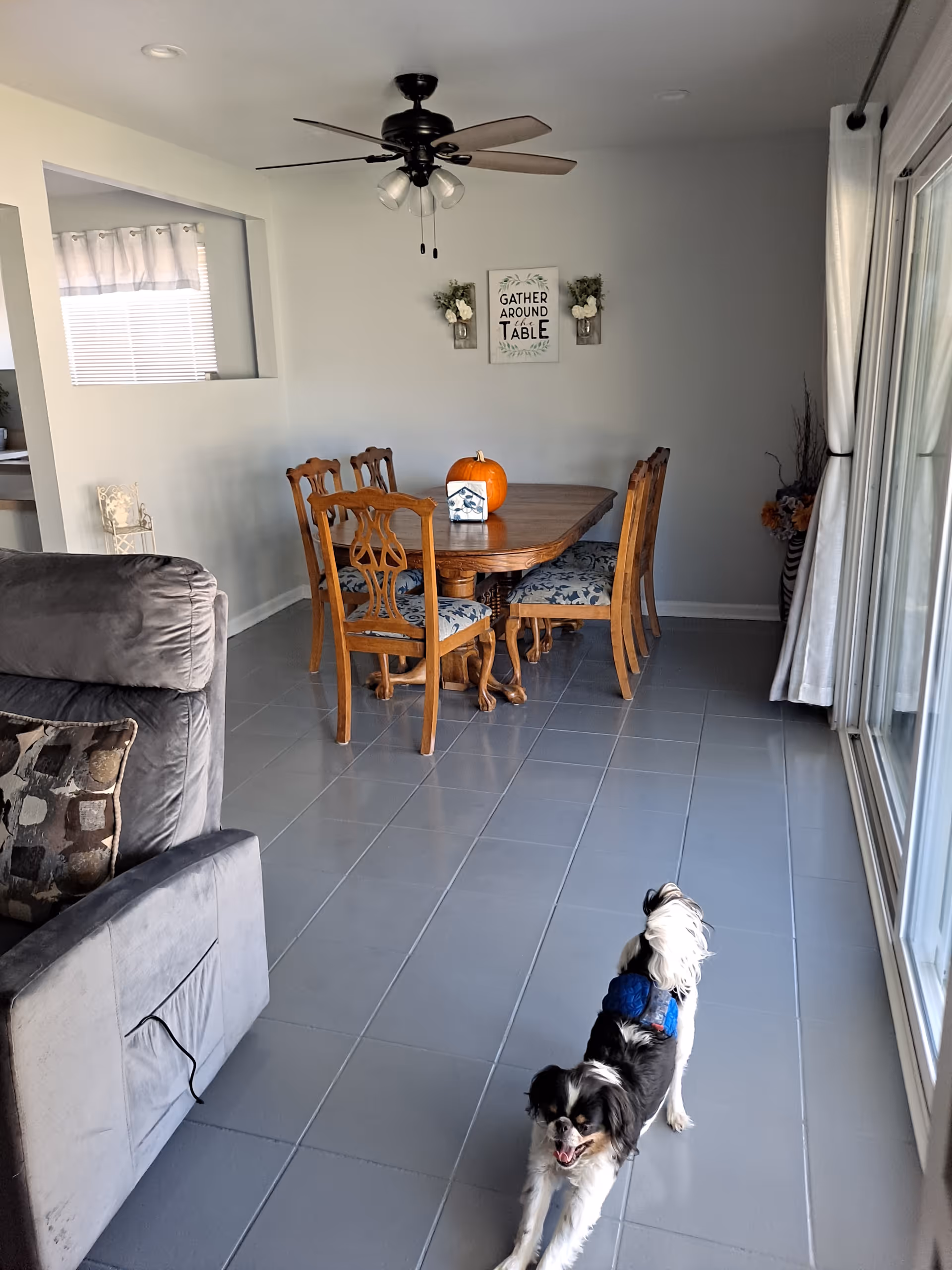 Interior view of a dining area with a wooden dining table and six chairs with patterned cushions. A pumpkin and a small decorative item are on the table. A ceiling fan with lights is above the table. To the left is a gray recliner chair with a patterned pillow. A small black and white dog wearing a blue harness is stretching on the tiled floor near large sliding glass doors with white curtains. On the wall above the table is a sign that says 'Gather Around the Table' with two small wall-mounted flower arrangements.