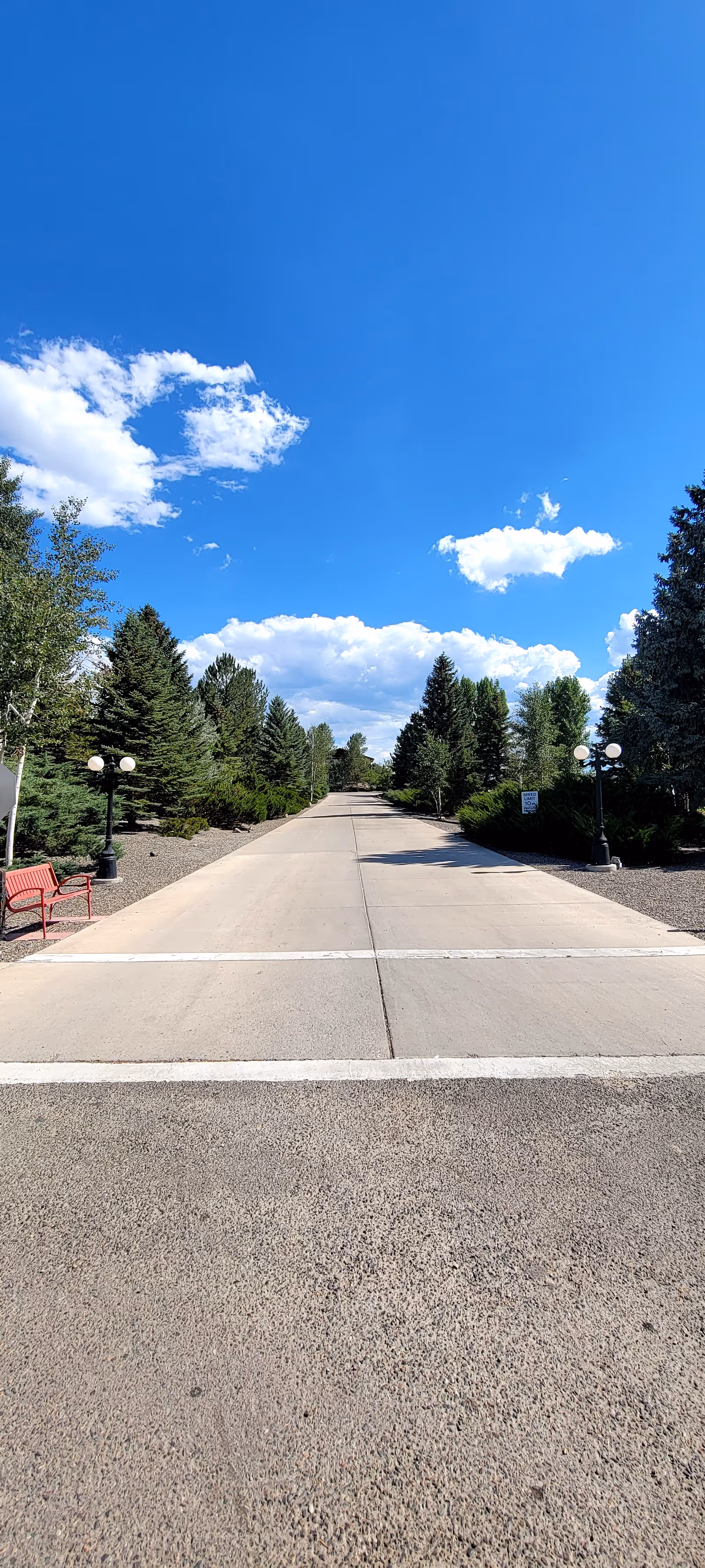 Long concrete driveway lined with trees, lamp posts, and benches under a bright blue sky.