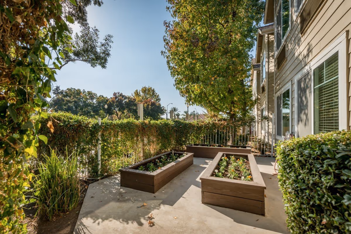 Outdoor garden area at The Grove Senior Living with raised wooden planter boxes containing small plants, surrounded by green bushes, trees, and a fence covered with vines. The side of a beige building with windows is visible on the right.
