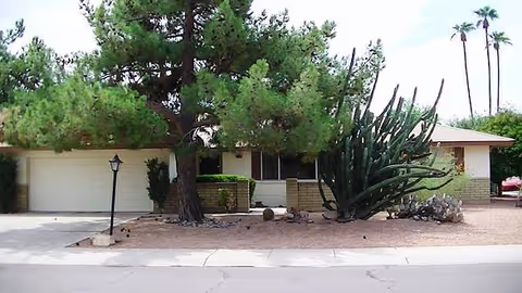 Single-story residence with a garage, desert landscaping, and large cactus plants in the front yard.