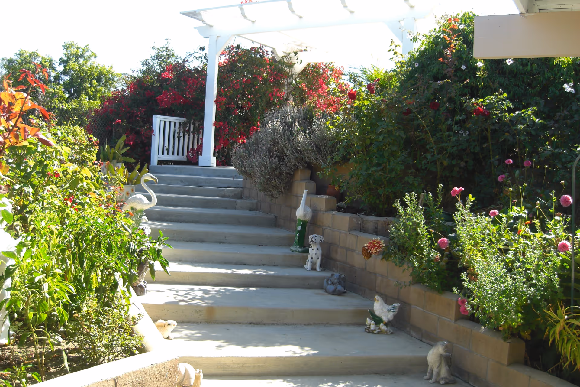 Outdoor concrete steps leading up to a white wooden gate with a pergola overhead. The steps are flanked by lush green plants and colorful flowers, along with various small animal statues including a flamingo, a dog, a chicken, and other decorative figures. The area is bright and sunny with vibrant foliage surrounding the pathway.