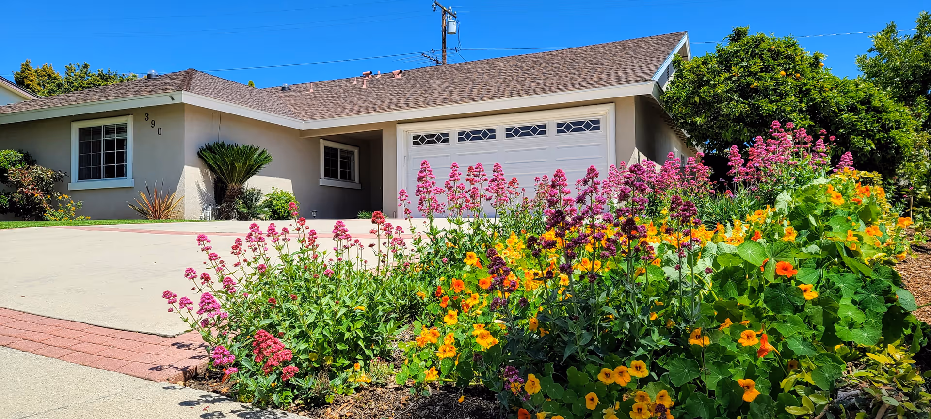 Single-story residential building with a beige exterior, a white garage door, and a driveway. In the foreground, there is a colorful flower bed with pink, yellow, and orange flowers. The sky is clear and blue.