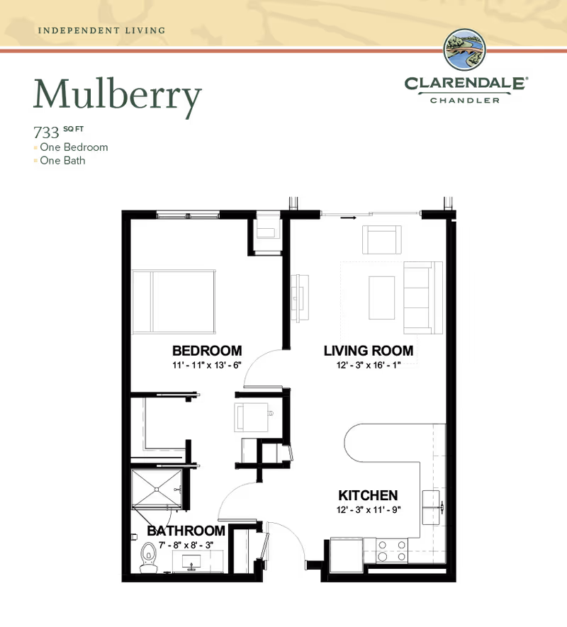 Floor plan of the Mulberry independent living unit at Clarendale of Chandler, showing a layout with one bedroom and one bathroom, covering 733 square feet.
