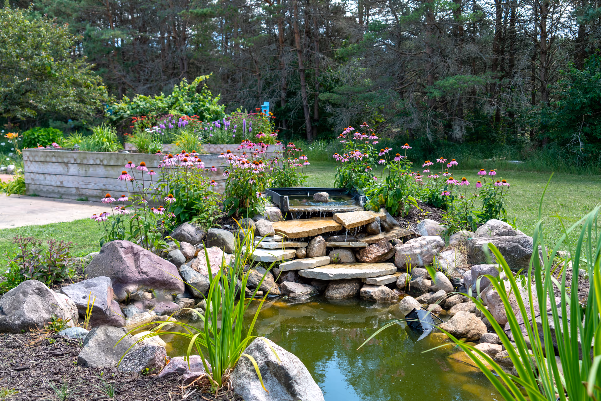 A serene garden scene featuring a small pond with a cascading waterfall made of flat stones surrounded by rocks and flowering plants. Raised garden beds with various green plants and flowers are visible in the background, along with a grassy lawn and trees.