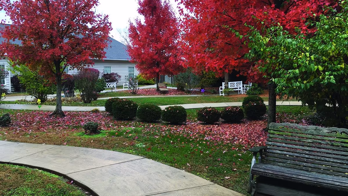 A peaceful outdoor garden area in a senior living facility with vibrant red and green trees, fallen leaves on the grass, a curved concrete pathway, trimmed bushes, white benches, and a wooden bench in the foreground.