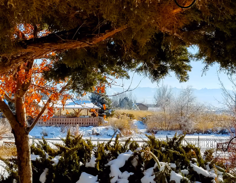 Snow-covered outdoor garden area with trees and bushes, a gazebo in the background, and mountains visible in the distance under a clear blue sky.