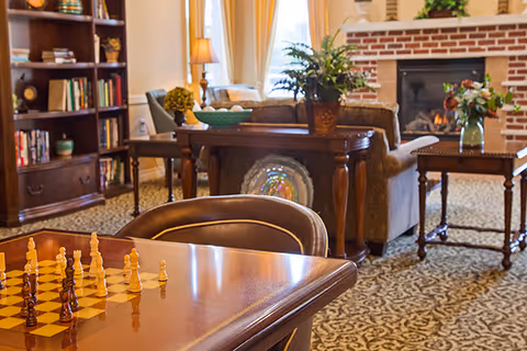 Cozy living room area with a chessboard on a wooden table in the foreground, upholstered chairs, a sofa, a wooden bookshelf filled with books and decorative items, a fireplace with a fire burning, and plants and flowers placed on tables and around the room.
