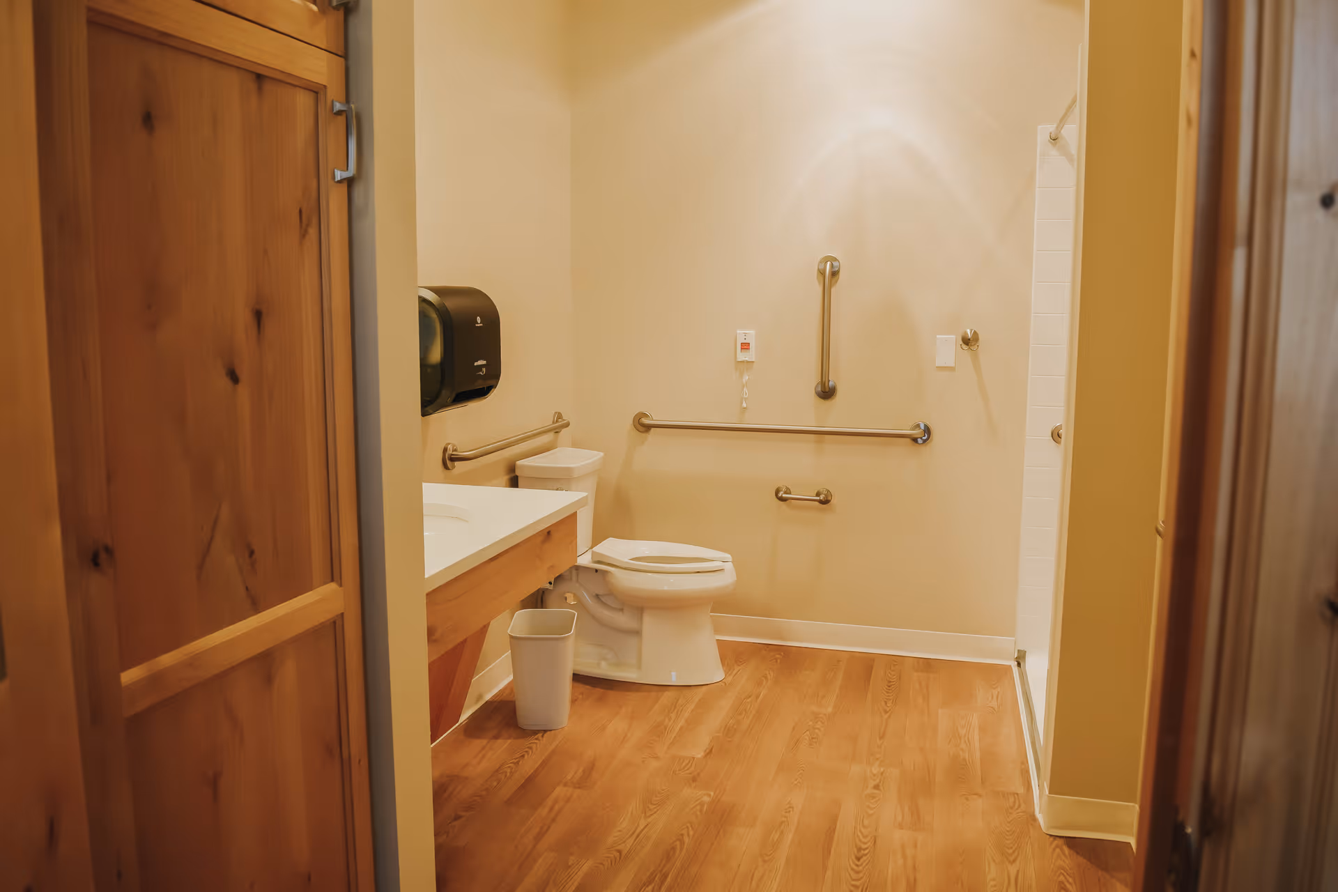 Accessible bathroom with a toilet, sink, wall-mounted grab bars, and wood-look flooring.