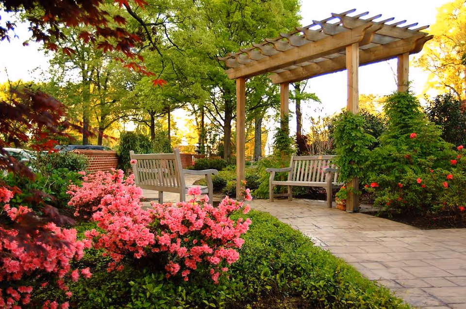 A peaceful outdoor garden area with blooming pink flowers, green shrubs, and trees. Two wooden benches are placed under a wooden pergola on a paved pathway.
