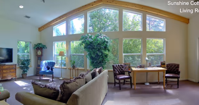A bright living room with large windows letting in natural light and showing green trees outside. The room features a beige sofa with decorative pillows, a blue armchair, a wooden TV stand with a flat-screen TV, a grandfather clock, a floor lamp, two wooden chairs, and a wooden table with various items on it. The ceiling has wooden beams and the carpet is brown.