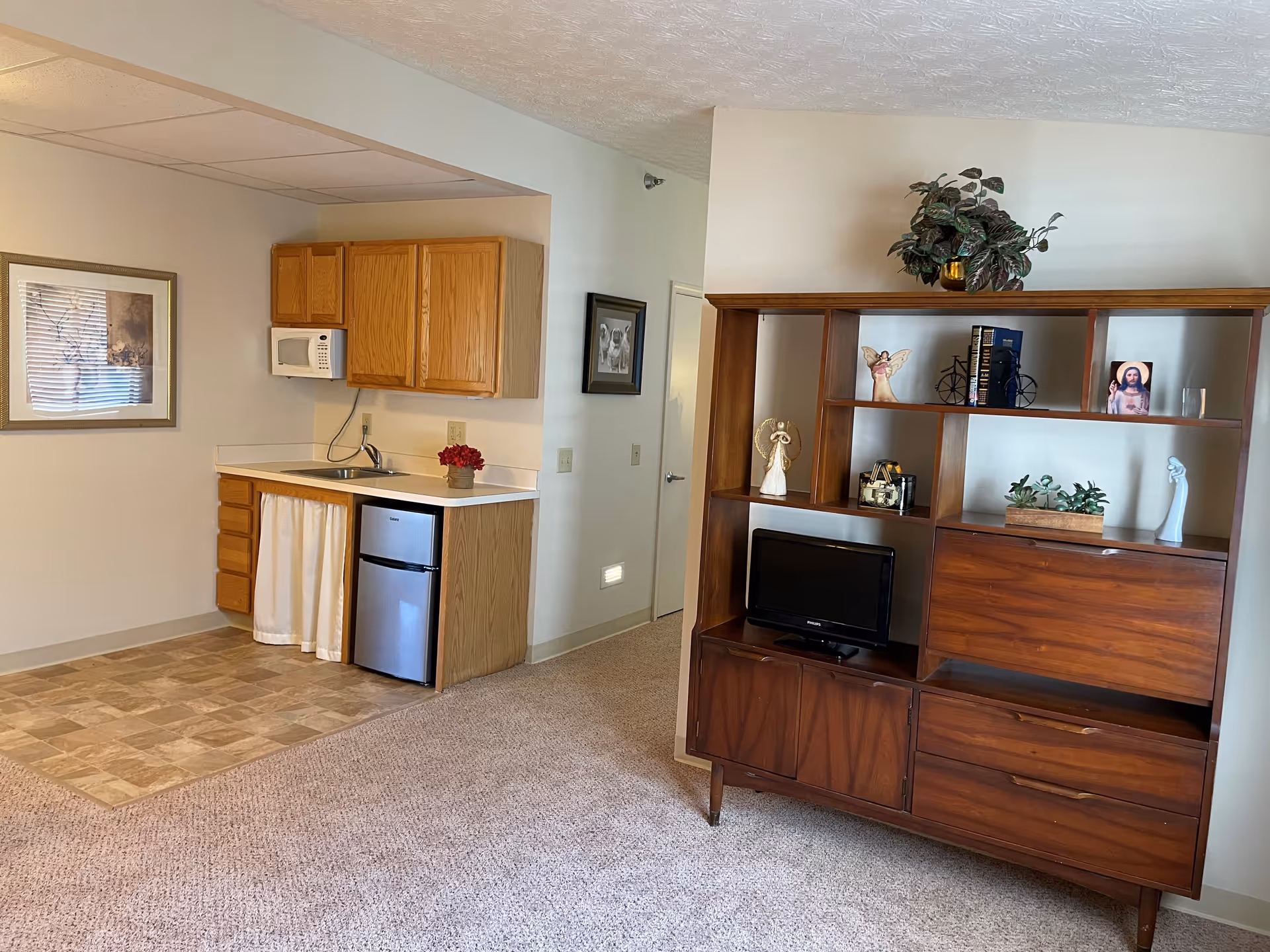 Interior view of a senior living facility room showing a small kitchenette with wooden cabinets, a microwave, a sink, and a mini refrigerator. Adjacent to the kitchenette is a wooden shelving unit with decorative items, a small TV, and plants. The room has carpeted flooring and a framed picture on the wall.