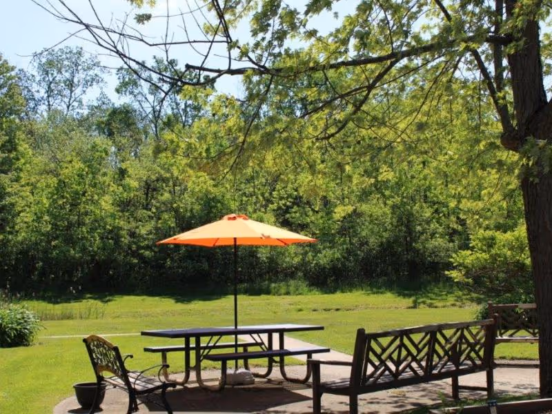 Outdoor seating area with a picnic table and benches under an orange umbrella, surrounded by green grass and trees in the background on a sunny day.