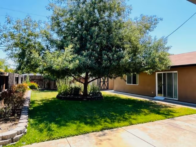 A sunny backyard with a large leafy tree in the center surrounded by a circular stone border. There is a well-maintained green lawn, a concrete pathway, and a brown building with sliding glass doors and windows. A wooden fence lines the left side of the yard.