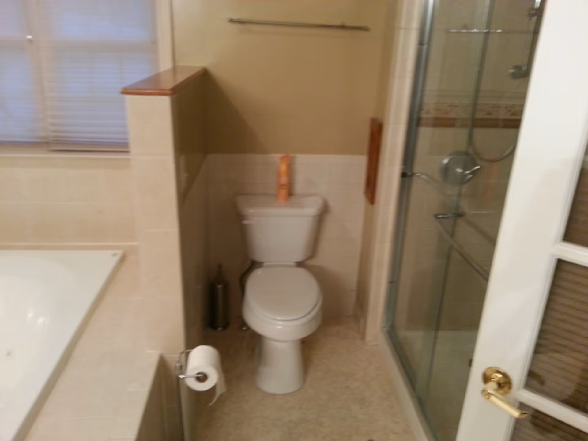 A bathroom featuring a white toilet with a bottle of air freshener on top, a glass-enclosed shower to the right, a bathtub to the left, and a toilet paper holder mounted on the half wall beside the toilet.