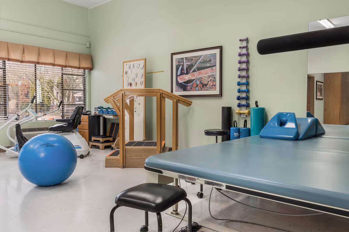 A physical therapy room with exercise equipment including a large blue exercise ball, a recumbent exercise bike, a wooden step platform with handrails, a padded therapy table with positioning wedges, a set of colorful dumbbells mounted on the wall, and a large mirror. The room has light green walls and a window with blinds and a valance, allowing natural light to enter.